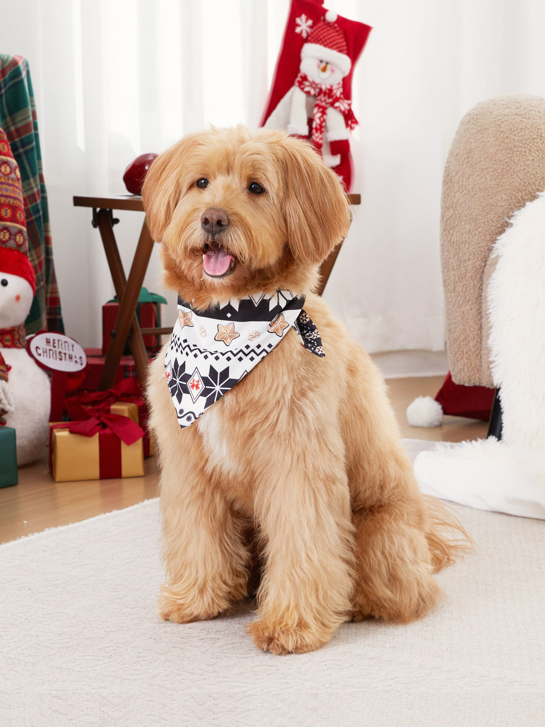 Conjunto de Piajamas de Natal para a Família com Mangas Raglan, Estilo Homem de Gengibre, Cintura com Cordão e Bolsos, Acompanhado de Meias de Natal, em vermelho/preto.