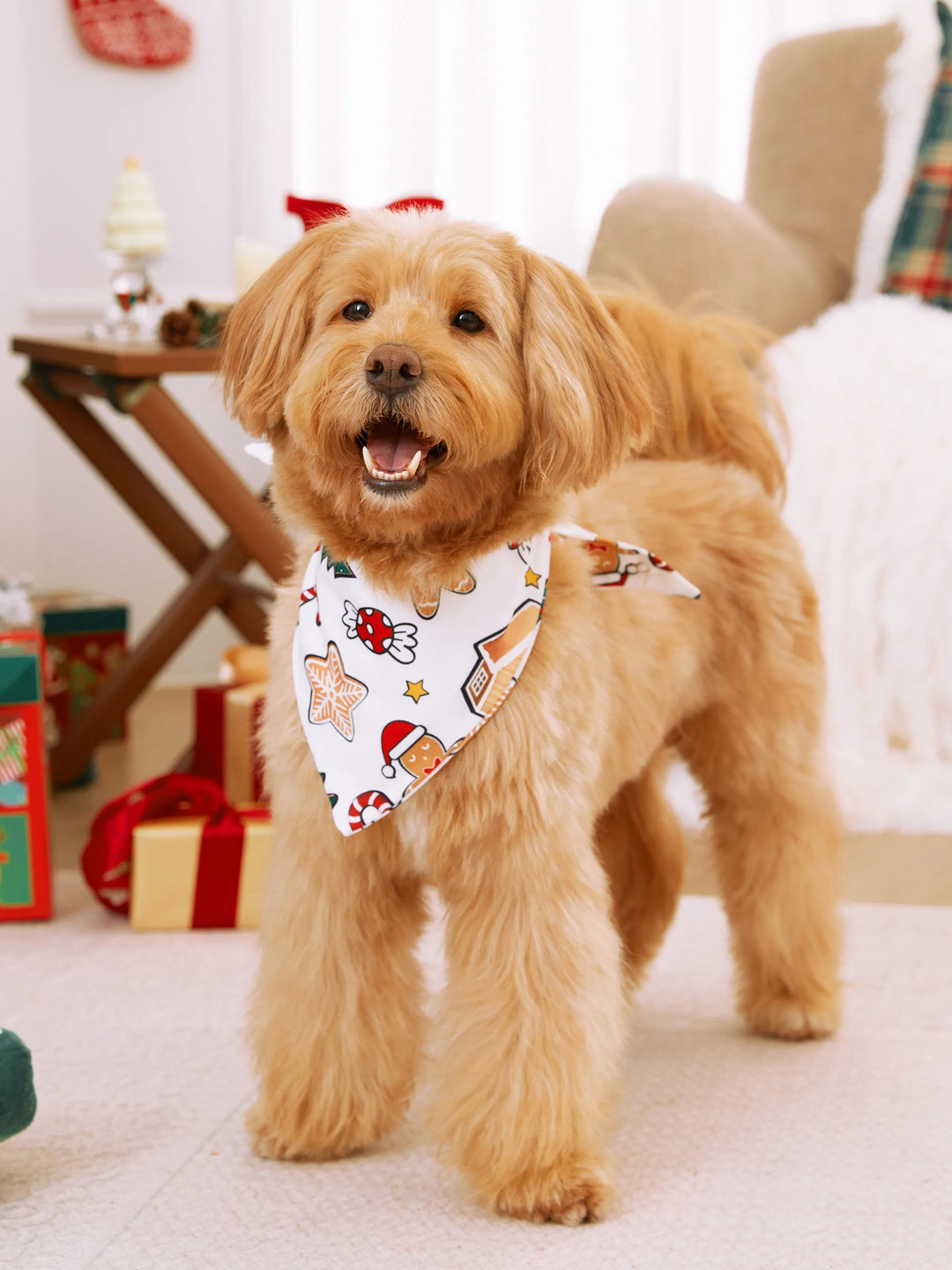 Pijamas de Casa de Gengibre em Conjunto para Família - PJs Verdes de Natal com Meias de Natal Multicores