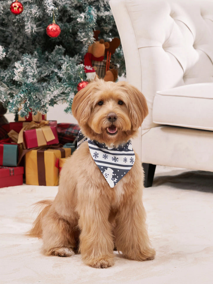 Conjuntos de Pijamas de Natal em Família com Padrão de Boneco de Neve, de Manga Longa, com Meias de Natal, Cor Cinza Escuro