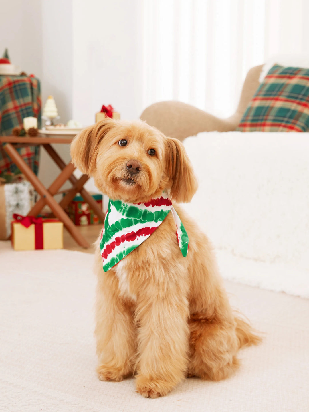 Conjuntos de Pijamas para a Família em Tie-Dye Vermelho e Verde com Homem de Gengibre e Meias de Natal Multicoloridas
