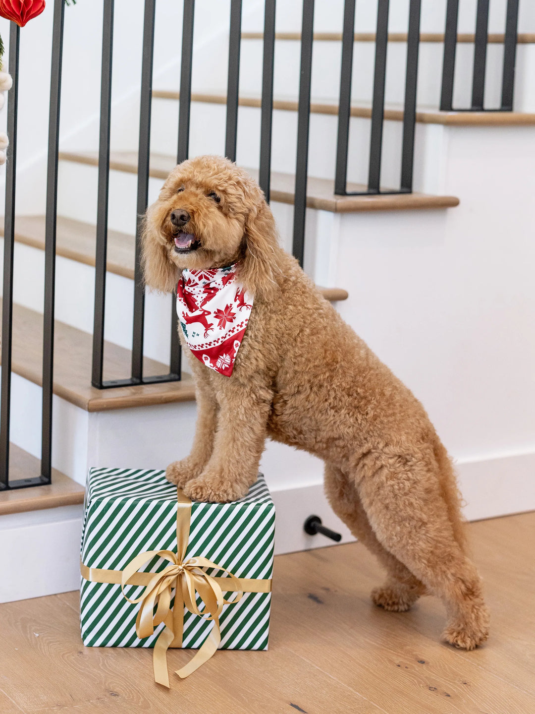 Conjunto de Pijamas de Natal para Família em Conjunto: Com Estampado de Rena e Boneco de Neve, Pijamas Vermelhos de Manga Longa com Meias de Natal Vermelhas.