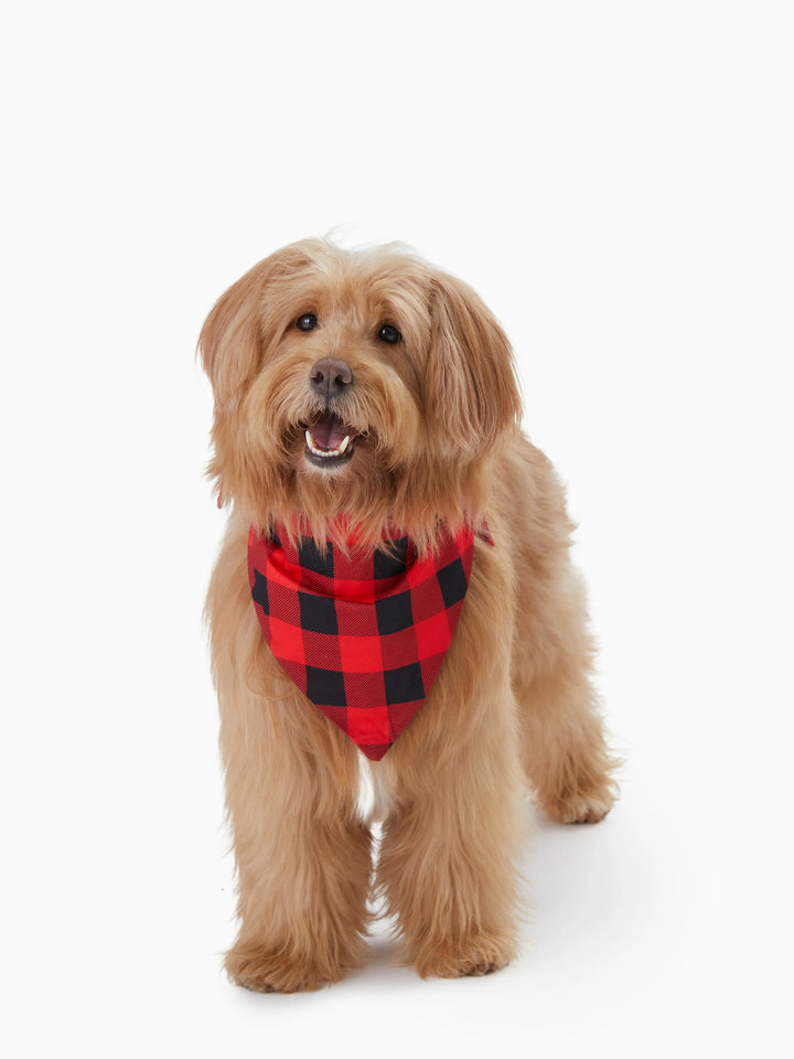 Conjuntos de Pijamas de Natal para Família com Impressão do Pai Natal e Mangas Raglan, incluindo Meias de Natal (Certificação de Segurança SGS) Vermelho