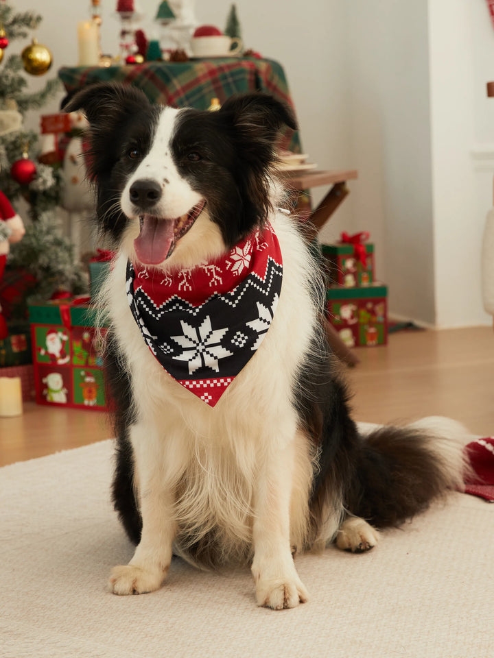 Conjuntos de Pijamas para a Família com Estampa de Renas de Natal e Meias de Natal Pretas