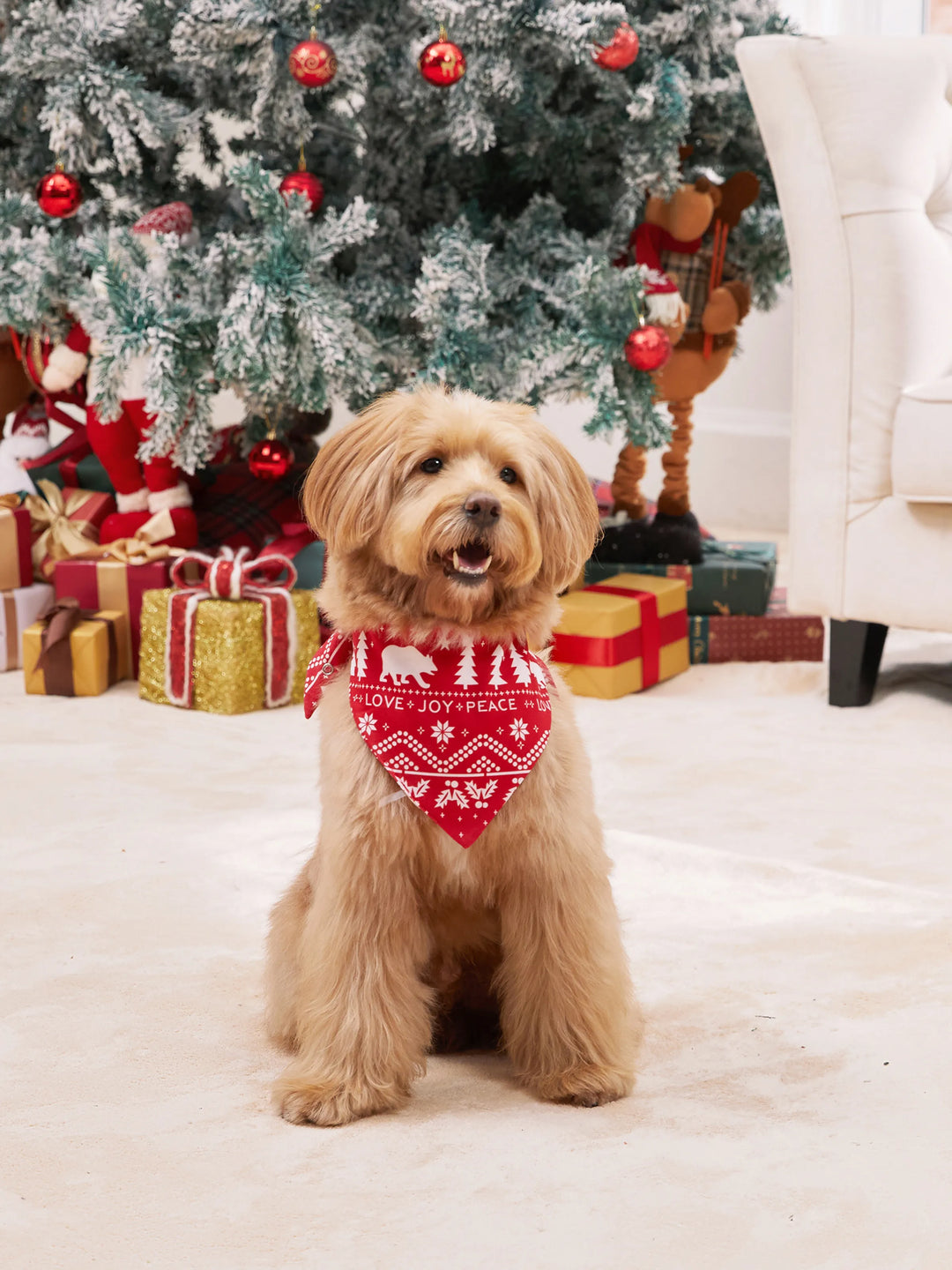 Conjuntos de Pijamas em Estampa Tradicional de Natal para a Família, com Meias de Natal Vermelhas.