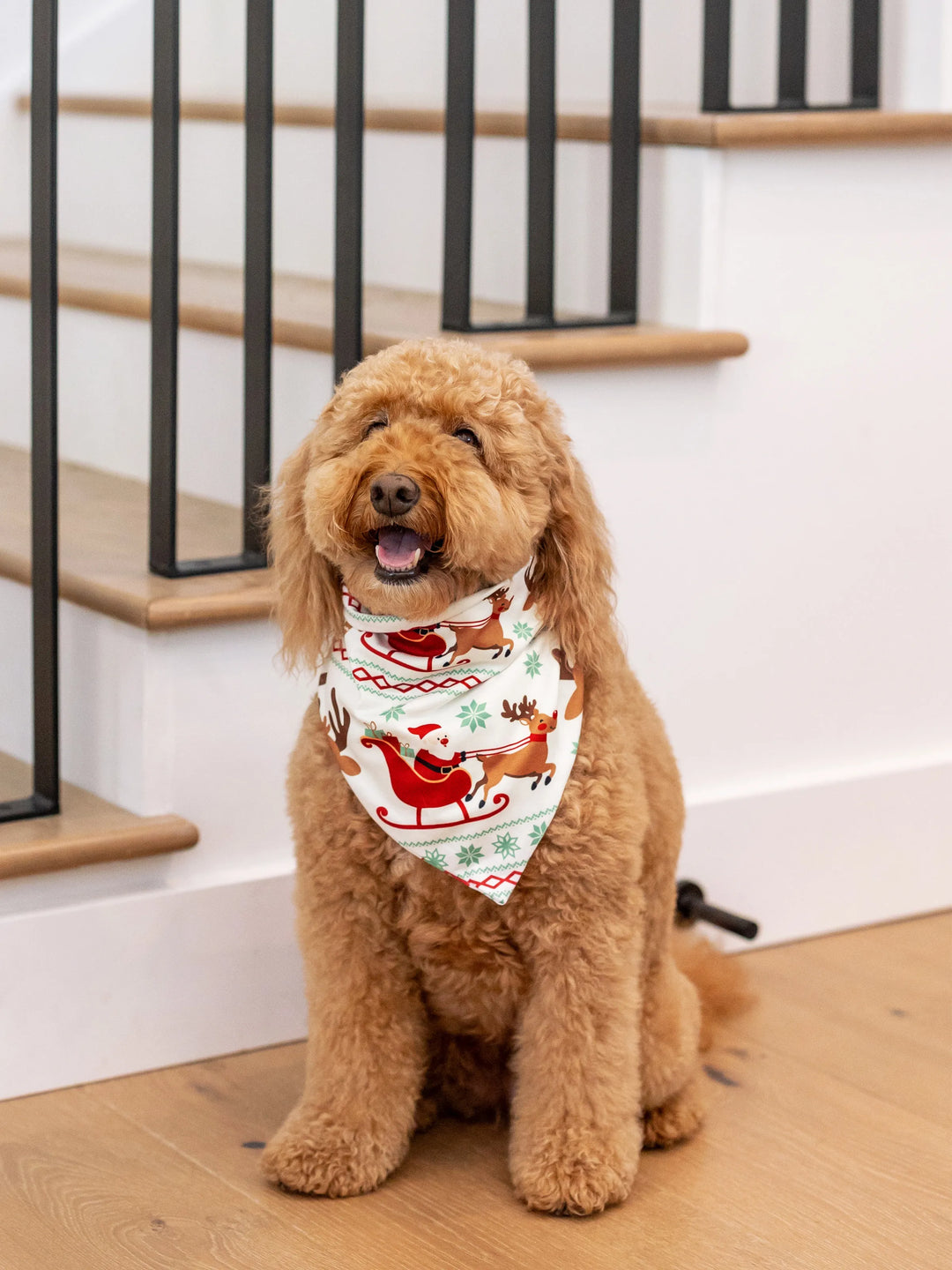 Conjunto de Pijamas em Conjunto para a Família com Motivo de Renas - Pijamas de Manga Longa com Meias de Natal Vermelhas