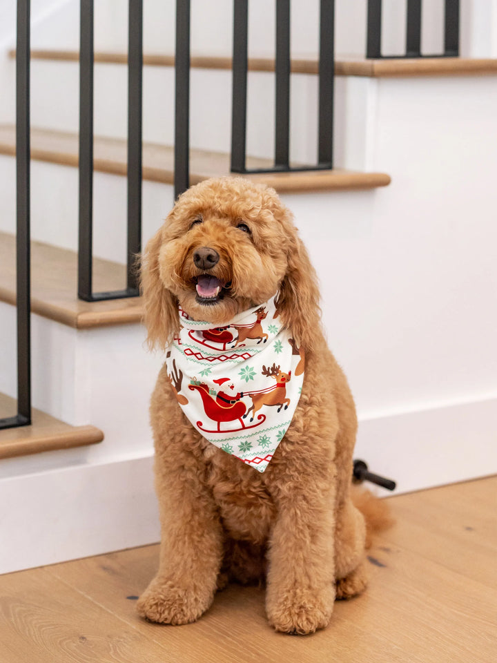Conjunto de Pijamas em Conjunto para a Família com Motivo de Renas - Pijamas de Manga Longa com Meias de Natal Vermelhas