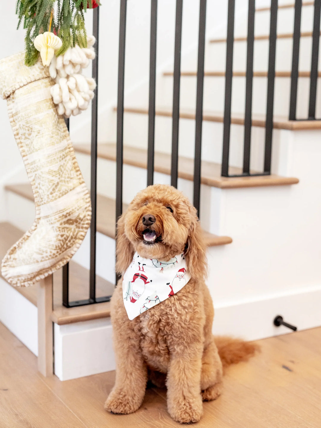 Conjunto de Pijamas de Natal em Família com Estampagem de Gnomos - Pijamas Brancos com Meias de Natal Brancas