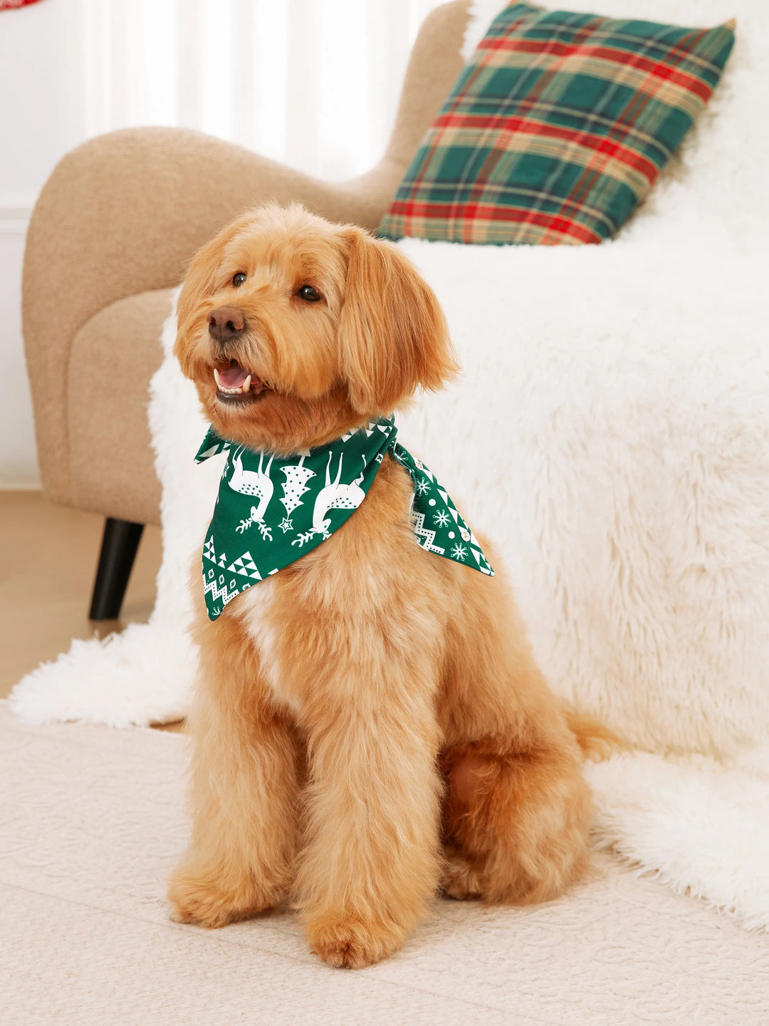 Conjunto de Pijamas em Conjunto Familiar para Natal com Tops a Brilhar no Escuro e Calças com Padrão de Renas, incluindo Meias de Natal - Verde Escuro