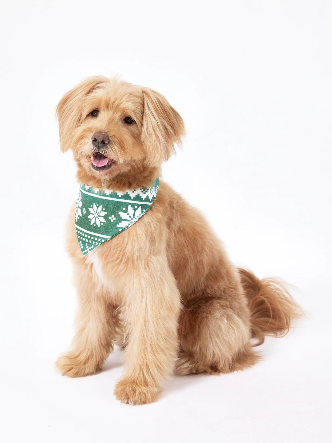 Conjunto de Pijamas de Natal para Família com Estampado de Renas e Flocos de Neve em Verde com Meias de Natal Verde Escuro