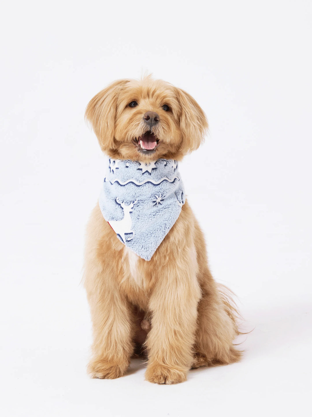 Conjunto de Pijamas em Família Combinados para o Natal com Estampado de Renas - Pijamas que Brilham no Escuro com Meias de Natal Brancas/Cinzentas