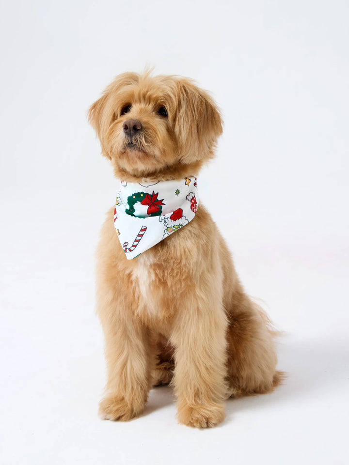 Conjunto de Pijamas em Coordenação para a Família com Tema do Grinch de Natal e Meias de Natal Vermelhas