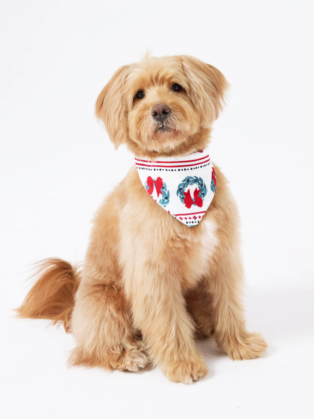 Conjunto de Pijamas de Natal em Conjunto para a Família com Estampa de Veado e Sino e Listras, com Meias de Natal Brancas