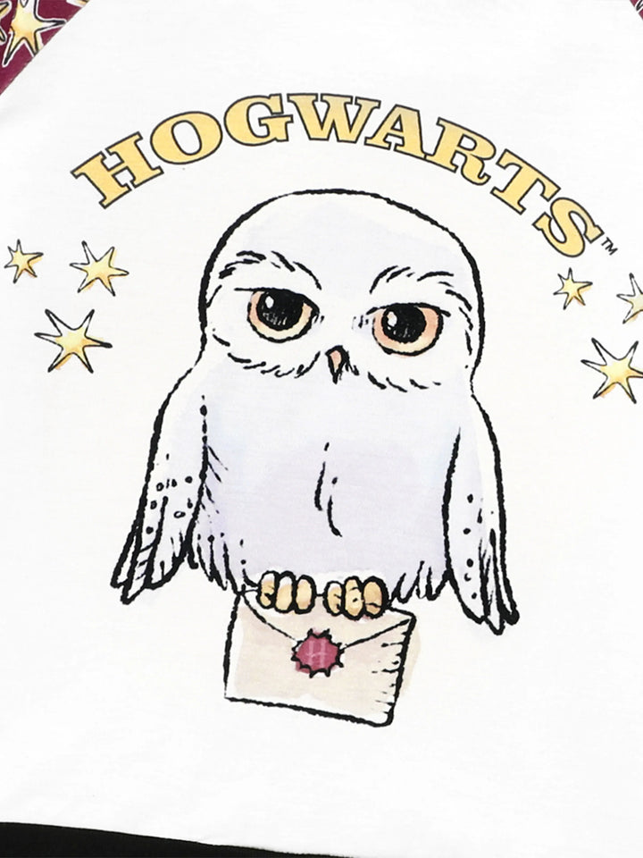 Conjuntos de Pijamas de Natal Matching da Família Harry Potter com Estampa da Hedwig e Meias de Natal