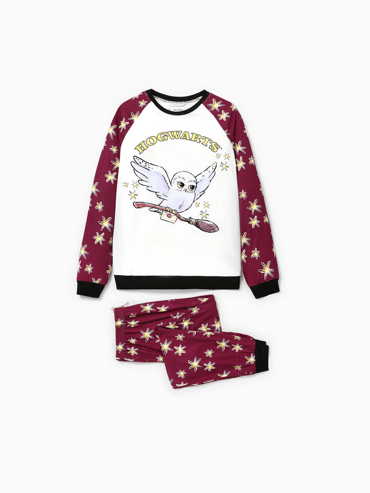 Conjuntos de Pijamas de Natal Matching da Família Harry Potter com Estampa da Hedwig e Meias de Natal
