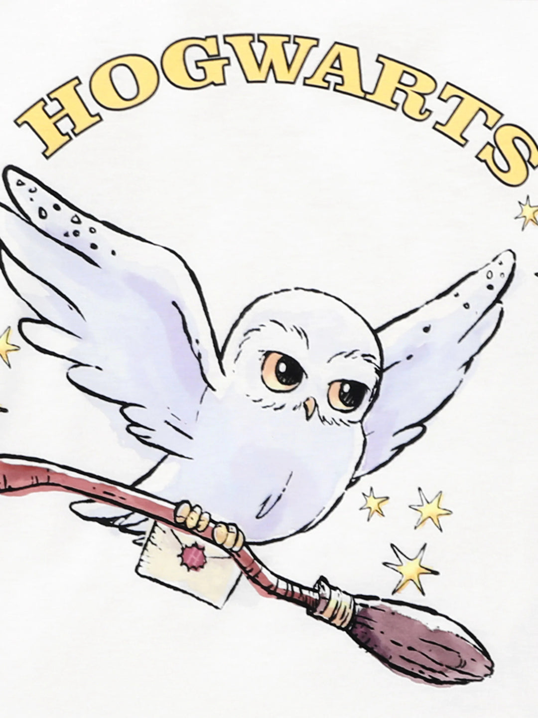 Conjuntos de Pijamas de Natal Matching da Família Harry Potter com Estampa da Hedwig e Meias de Natal