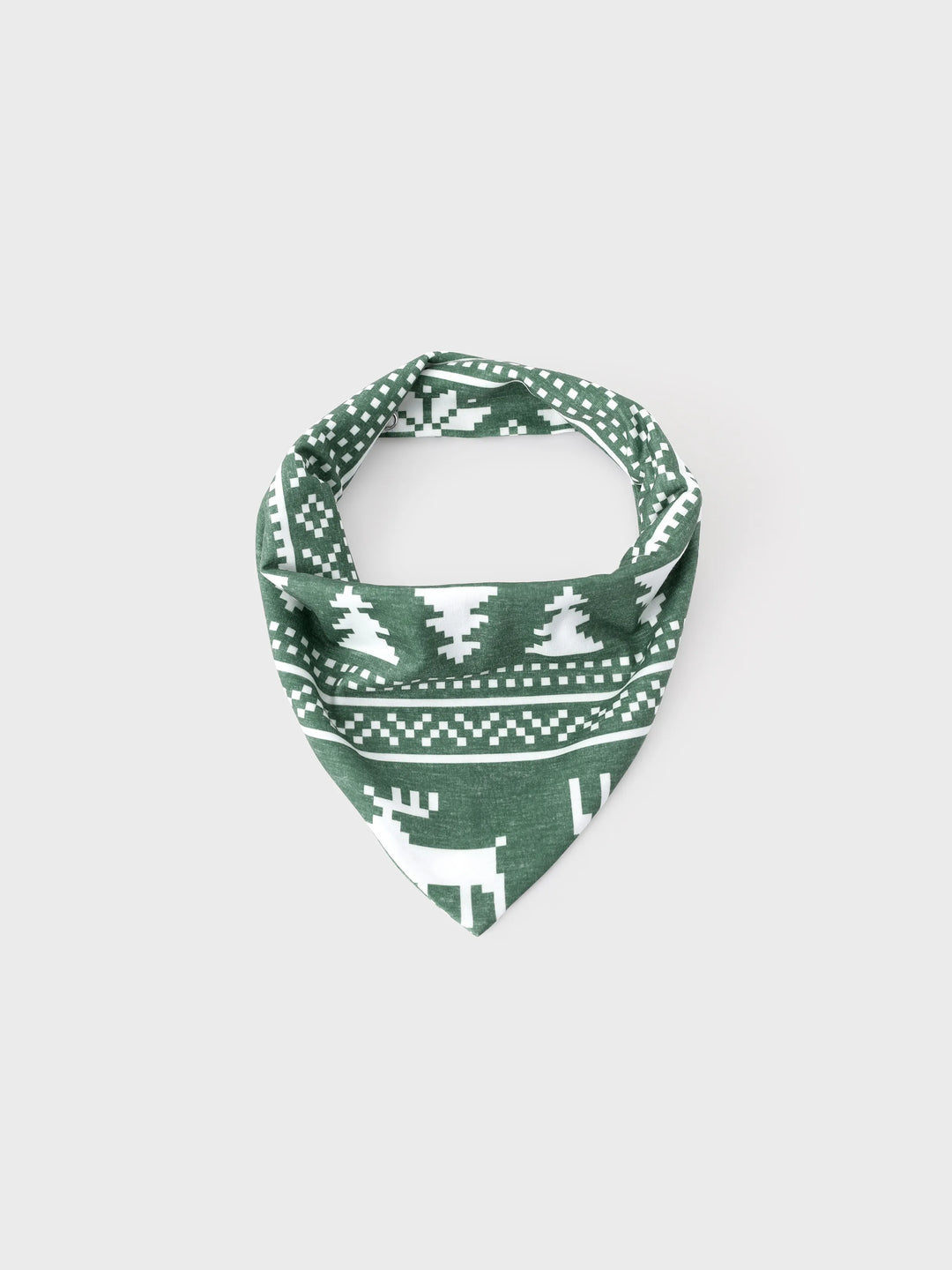 Conjunto de Pijamas de Natal para Família com Estampado de Renas e Flocos de Neve em Verde com Meias de Natal Verde Escuro