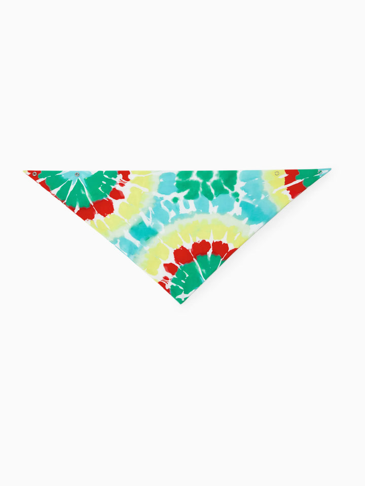 Conjunto de Pijamas de Natal para a Família em Coordenação com Estampa Colorida de Árvore de Natal e Meias de Natal Multicoloridas