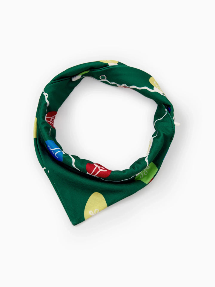 Conjunto de Pijamas de Natal para a Família em Coordenação - Estampado de Renas em Verde com Meias de Natal Verdes