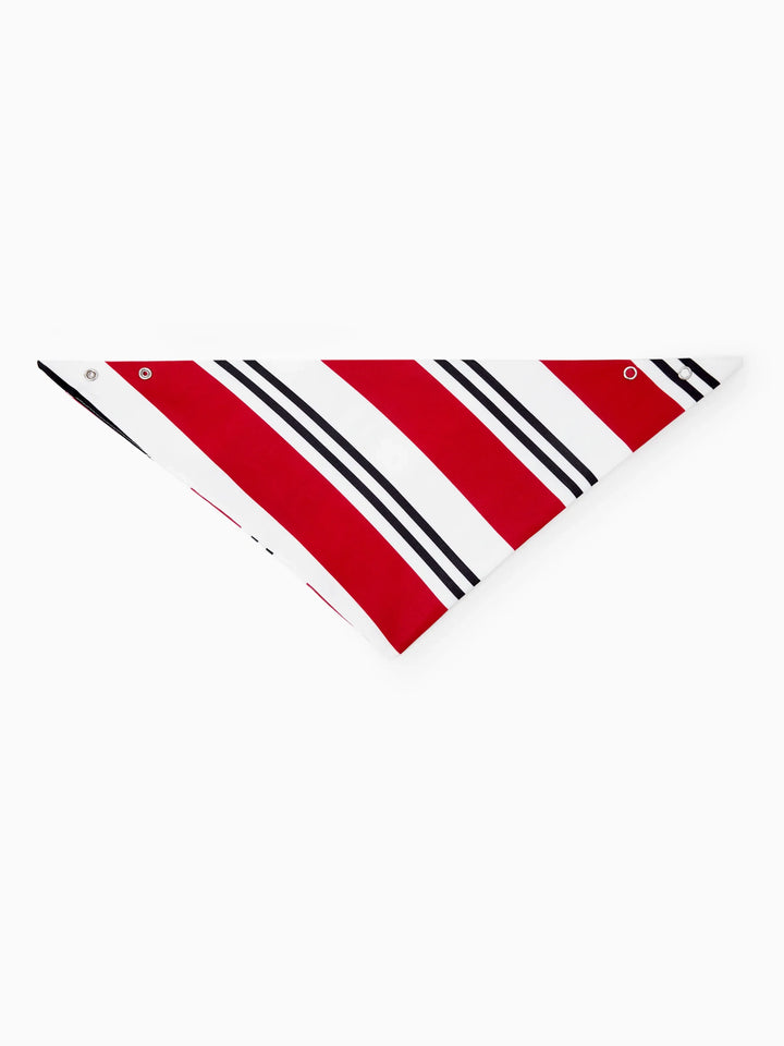 Conjunto de Pijamas Coincidentes para a Família com Estampa de Elfo e Meias de Natal em Preto