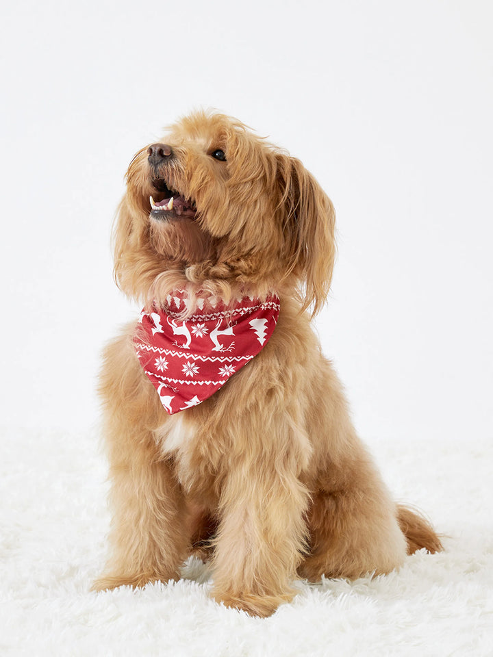 Conjuntos de Pijamas em Família com Estampa de Rena e Flocos de Neve para o Natal, Inclui Meias de Natal Vermelhas