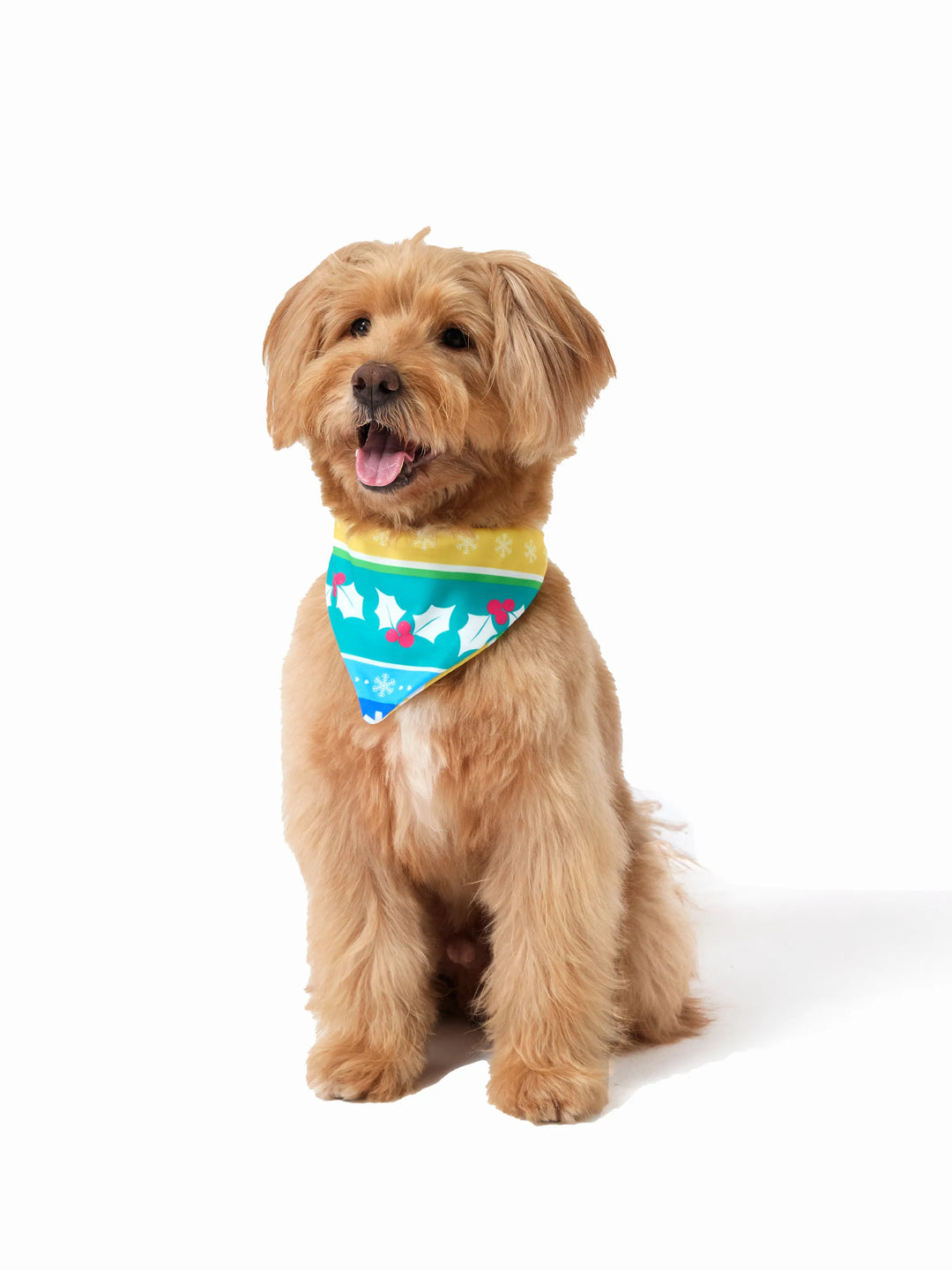 Conjunto de Pijamas de Natal para a Família com Padrão de Gnomos e Listras, incluindo Meias de Natal em Multicor