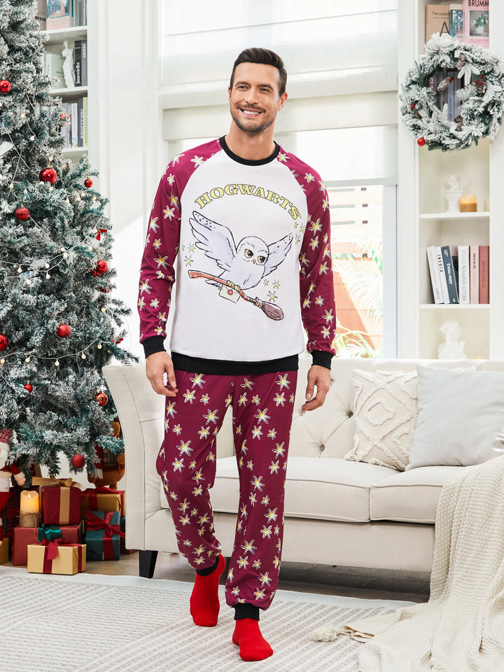 Conjuntos de Pijamas de Natal Matching da Família Harry Potter com Estampa da Hedwig e Meias de Natal