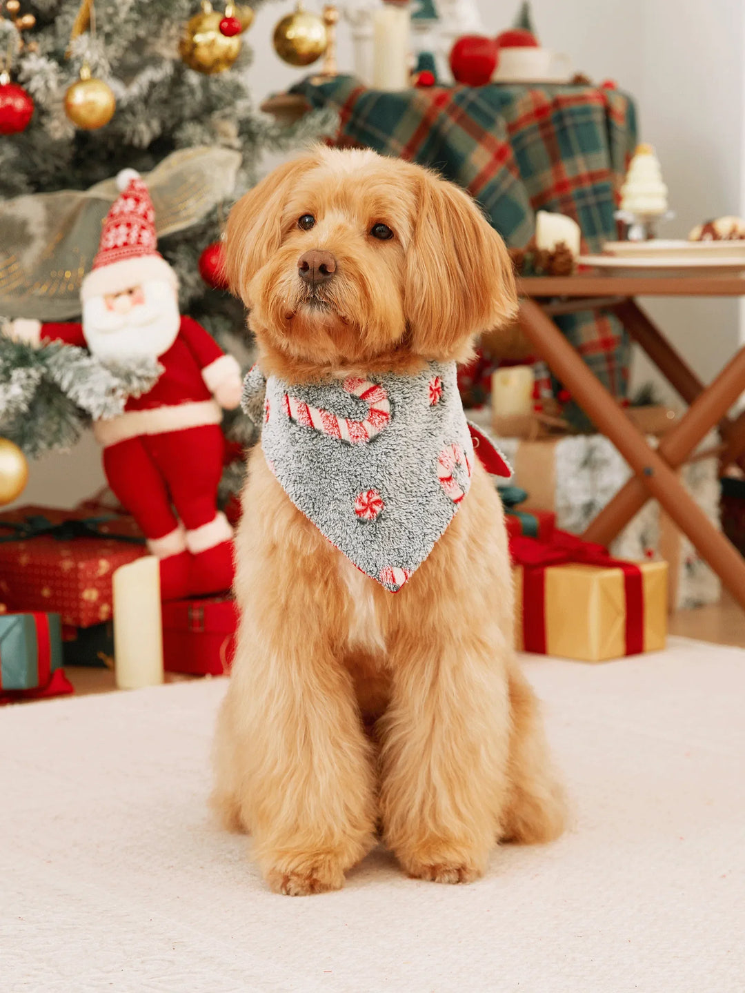 Pijamas de Uma Peça Conjuntos de Natal Correspondentes Padrão de Bastão de Caramelo (Brilham no Escuro) com Meias de Natal Pretas