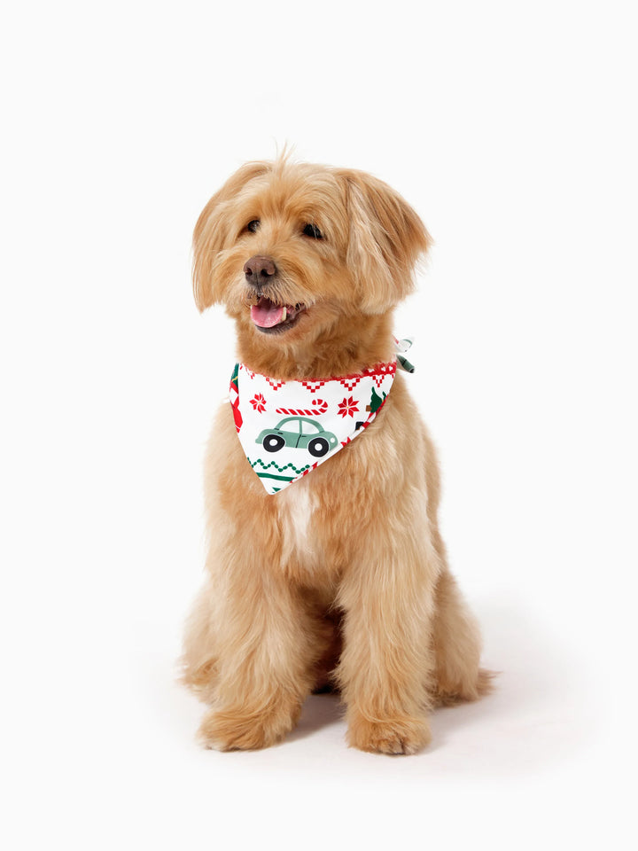 Conjunto de Pijamas Coordenados para a Família com Estampado de Flocos de Neve e Carros, junto com Meias de Natal Vermelhas.