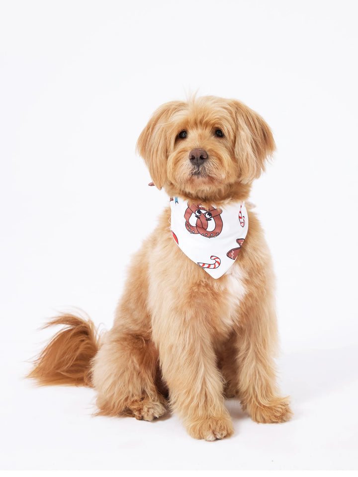 Conjunto de Pijamas de Natal coordenados para toda a família - Pijamas que brilham no escuro com Bolachas de Natal e Pai Natal, acompanhados de meias de Natal vermelhas.