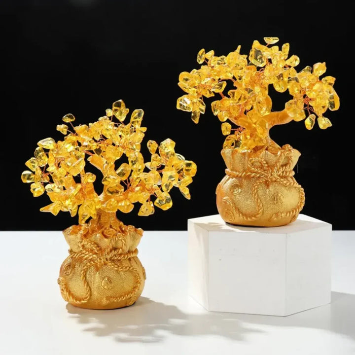 Árvore da Fortuna "Feng Shui" - Razu