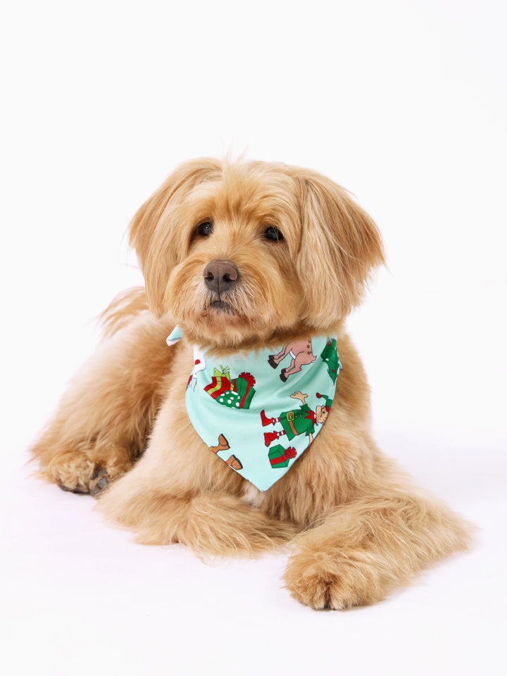 Conjunto de Pijamas de Natal Coordinate para Família com Estampa de Renas e Meias de Natal Verde Claro