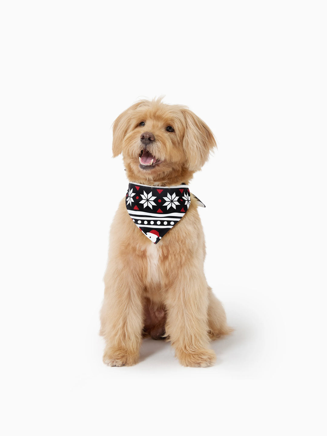 Conjunto de Pijamas de Natal para a Família com Estampa de Boneco de Neve e Árvore de Natal - Pijamas Pretos com Meias de Natal Pretas