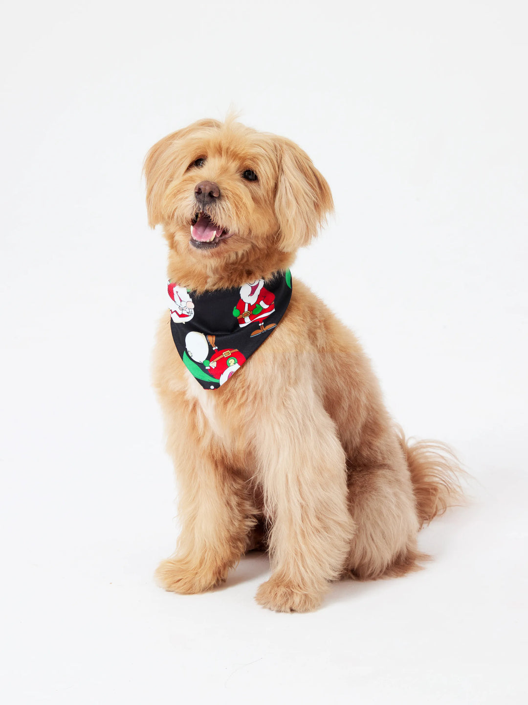 Conjunto de Pijamas em Família para Natal com Estampado de Pai Natal Preto e Branco e Meias de Natal Pretas