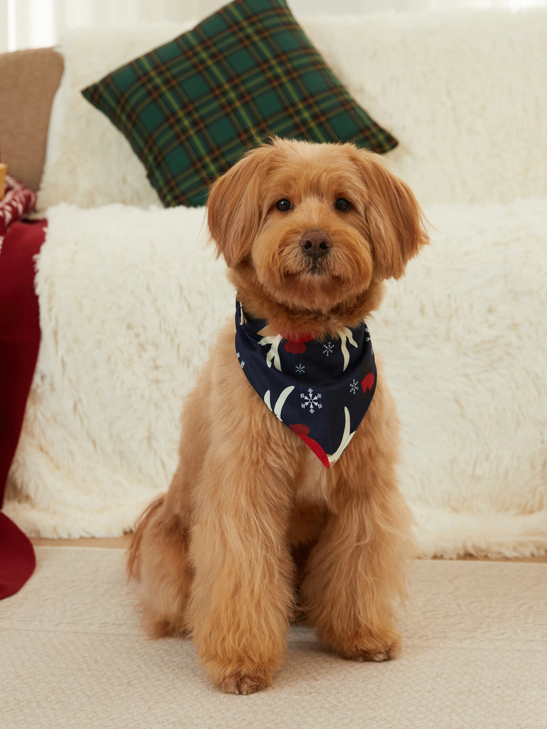 Pijamas de Natal para Família com Padrão de Renas, Conjunto de Pijamas com Manga Raglan em Grande Gráfico e Meias de Natal. Cores: Azul Escuro / Branco / Vermelho.