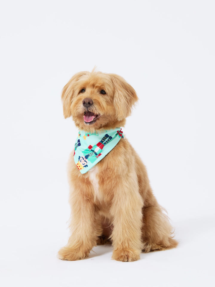 Conjunto de Pijamas Familiares de Natal em Coordenação com Estampa de Soldado e Árvore de Natal, incluindo Meias de Natal, Verde Claro