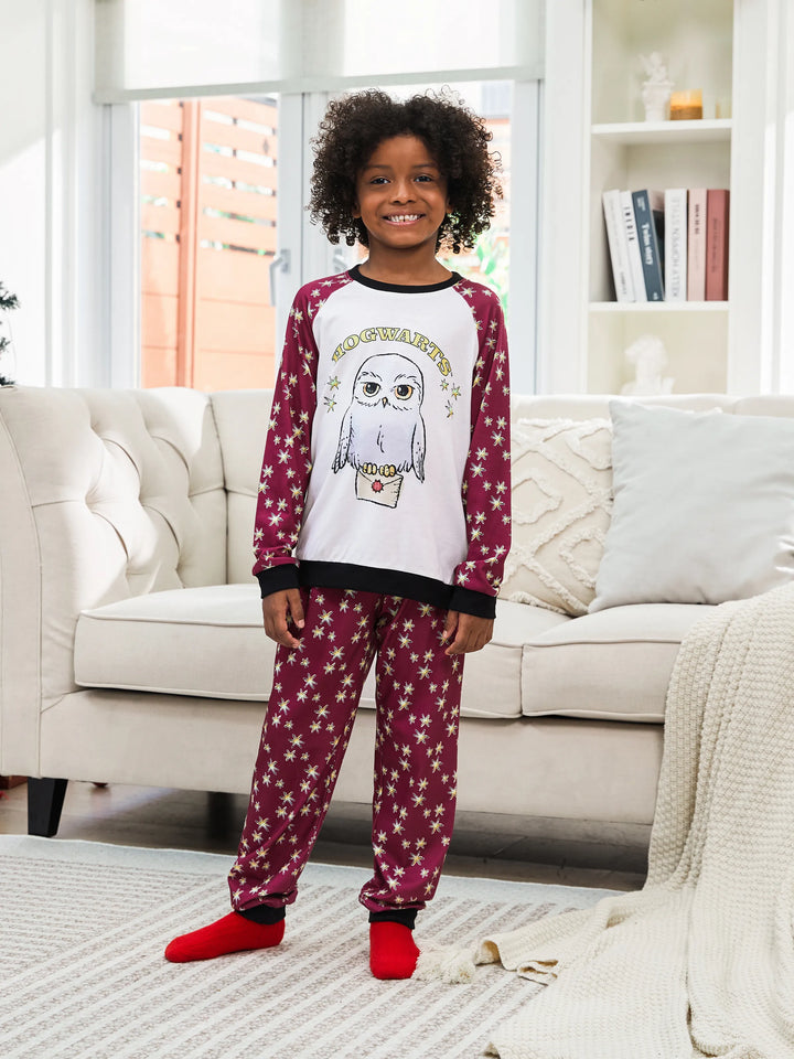 Conjuntos de Pijamas de Natal Matching da Família Harry Potter com Estampa da Hedwig e Meias de Natal