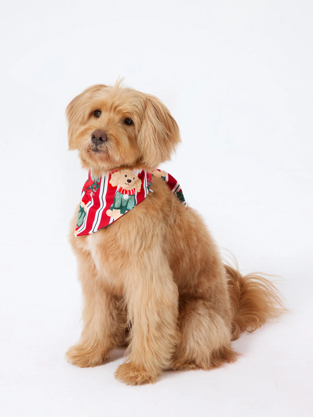 Conjunto de Pijamas Coordenados para a Família no Natal com Estampa de Cãozinho Vermelhos