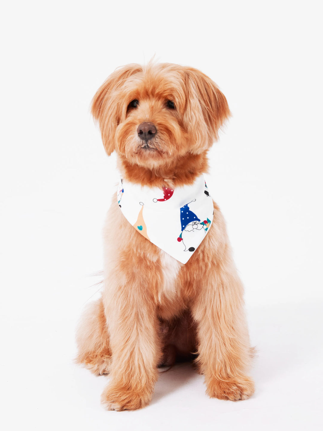 Conjunto de Pijamas de Natal em Família com Estampa de Gnomo Natalício e Meias de Natal Vermelhas