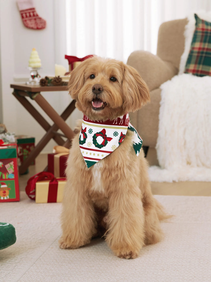 Conjunto de Pijamas de Natal para a Família com Padrão de Rena/Árvore de Natal e Meias de Natal em Cores Contrastantes