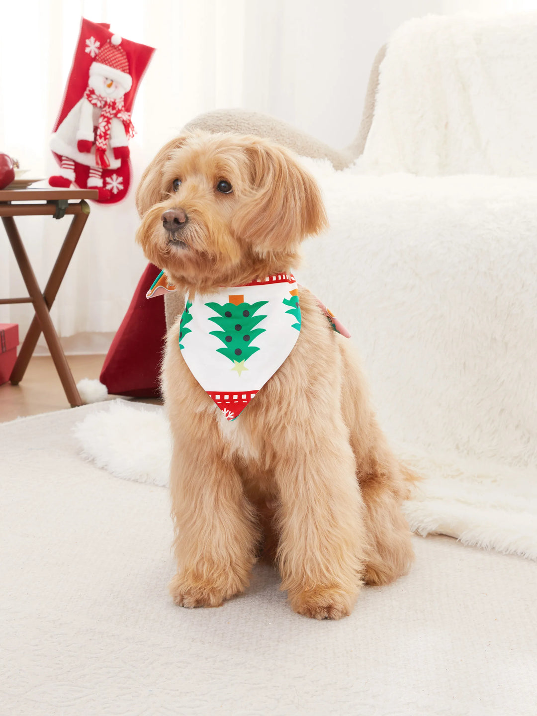 Pijamas de uma peça Conjuntos de Natal Coordenados Estampados com Zíper à Frente Impressão Holly Jolly com Meias de Natal Fundo Multicolorido