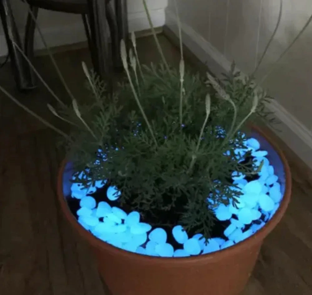 Pedras Mágicas para Jardim - Tazzi