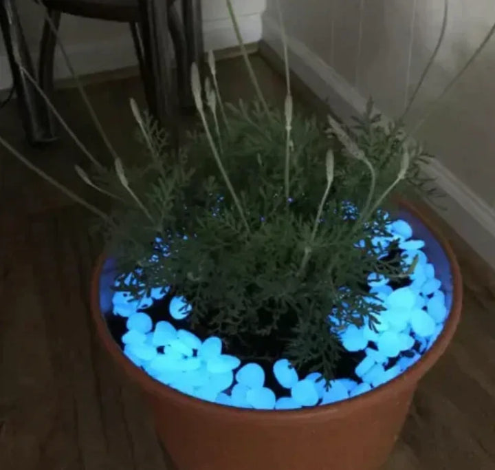 Pedras Mágicas para Jardim - Tazzi